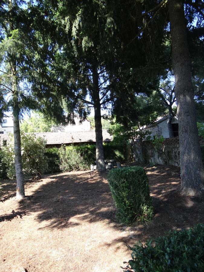 Museu Casa Aleixo Konuk evi Sernancelhe Dış mekan fotoğraf