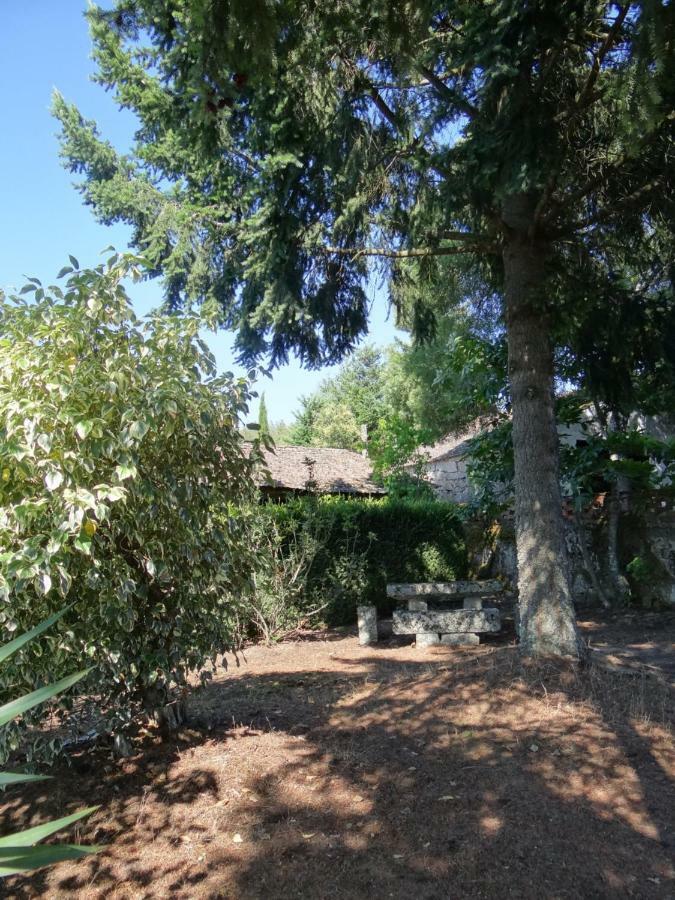 Museu Casa Aleixo Konuk evi Sernancelhe Dış mekan fotoğraf