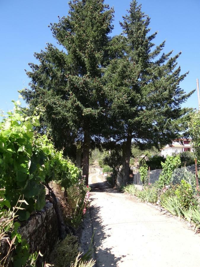 Museu Casa Aleixo Konuk evi Sernancelhe Dış mekan fotoğraf