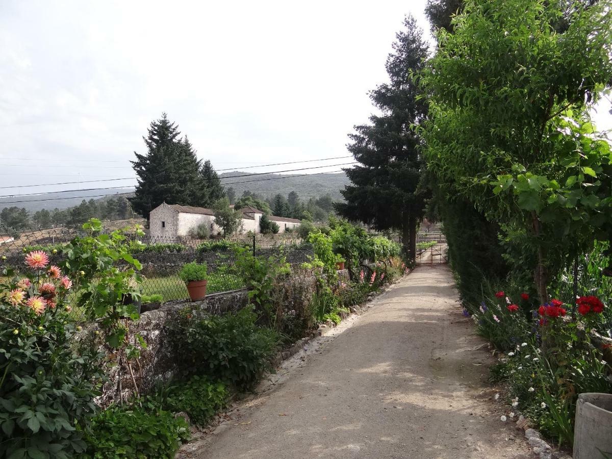 Museu Casa Aleixo Konuk evi Sernancelhe Dış mekan fotoğraf
